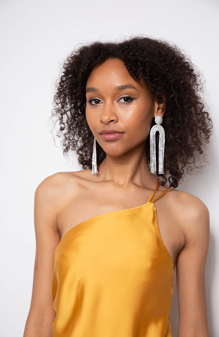 TIFFANY HOOPS WITH SILVER SPARKLES