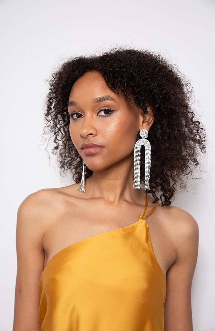 TIFFANY HOOPS WITH SILVER SPARKLES