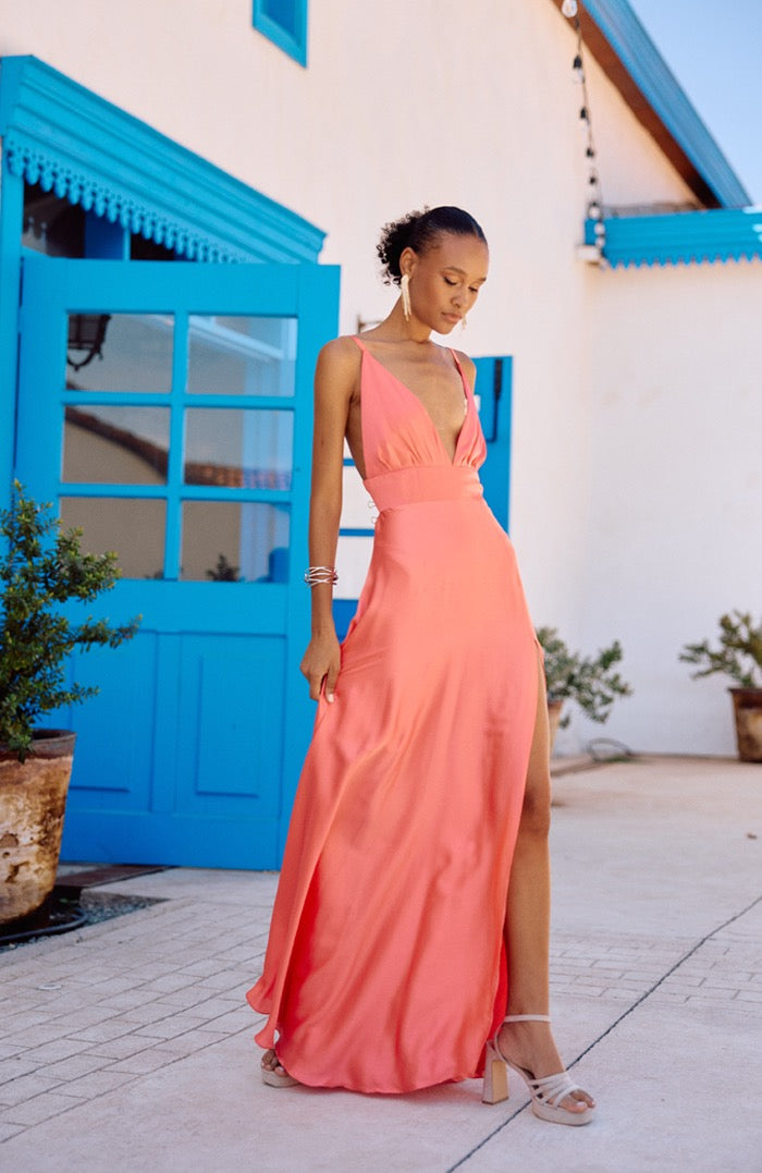 MAXI DELFINA CORAL 03 copia