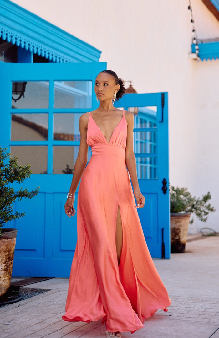 MAXI DELFINA CORAL 06 copia